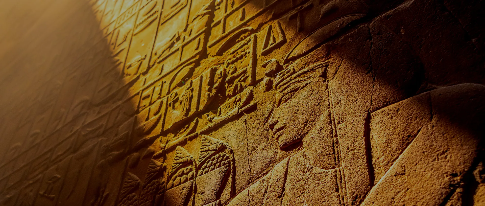 Curse of the Mummy Escape Room